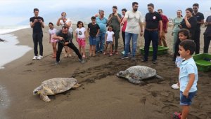 Deniz kaplumbağaları 'Mavi' ve 'Deniz' tedavi edilip mavi sulara uğurlandı