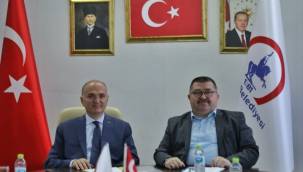 Düzce tarım festivaline hazırlanıyor 