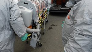 Endonezya'da maymun çiçeği vakası görüldü