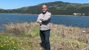 Gazeteci Azim Deniz kaza geçirdi