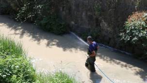 Havza Belediyesinden ilaçlama çalışması 