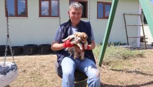 Hedef: Kontrollü üreme 