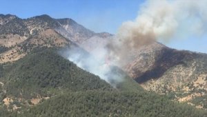 Kahramanmaraş'ta çıkan orman yangınına müdahale ediliyor