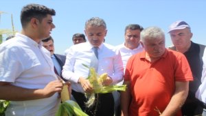 Karaman'da hasat günü etkinliği yapıldı