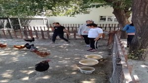 Karapınar'da öğrenciler sebze hasadı yaptı