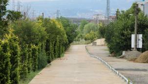 Kartepe yürüyüş ve bisiklet yolunda peyzaj çalışmasına başlanacak