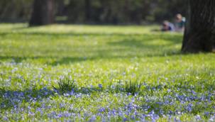 Kayseri hafta sonu hava tahmini 