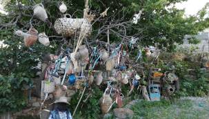 Kesmeye kıyamadığı ağaç, ziyaretçi akınına uğruyor