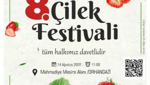 Mahmudiye Çilek Festivali Halkla Buluşmaya Hazır.