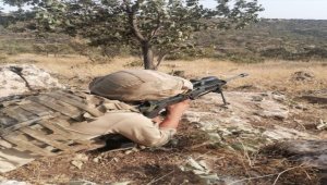 Mardin'de, Eren-Abluka-31 operasyonu başlatıldı