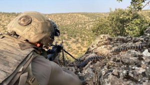 Mardin'de 'Eren Abluka-31 Şehit Jandarma Uzman Çavuş Ali Erdinç' operasyonu başlatıldı