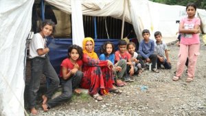 Ordu'da mevsimlik tarım işçileri fındık hasadını bekliyor