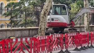 Orman Mühendisleri Odası İBB'nin Çırağan'da kestiği ağaçlarla ilgili raporunu yayımladı