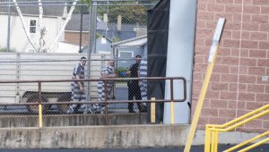 Salman Rüşdi'ye bıçaklı saldırı düzenlemekle yargılanan Hadi Matar suçlamaları reddetti