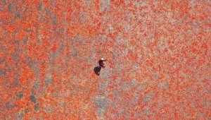 Şanlıurfa'nın tescilli isotu tezgahlarda yerini almaya başladı