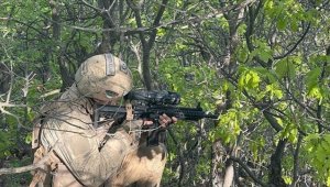 Siirt'te 2 terörist etkisiz hale getirildi