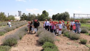 Sivas'ta Kur'an kursu öğrencileri uygulama bahçesini ziyaret etti