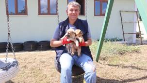 Sokaktaki canlılar tedavi ediliyor