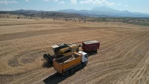 Talas'ta hasat vakti 