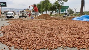Trabzonlu üreticilerin fındık kurutma mesaisi
