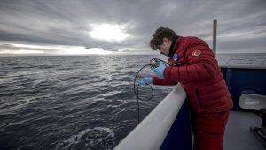 Türk bilim insanlarının kuzeydeki laboratuvarı Arktik Okyanusu