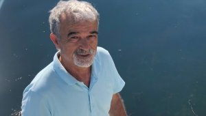 Türkiye Tabiatını Koruma Derneği Bilim Danışmanı Kesici'den İzmir'de yarım asırlık ağacın kesilmesine tepki