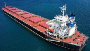 Ukrayna'dan gelen iki gemide denetim yapıldı 