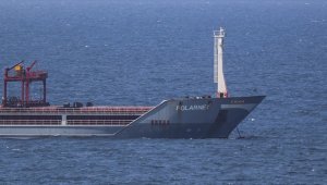 Ukrayna'dan gelen mısır yüklü gemi 'Polarnet' Derince Limanı'na ulaştı