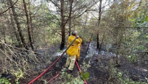 Uludağ'da çıkan orman yangını kontrol altına alındı