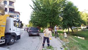 Yabani ot temizleme çalışmaları devam ediyor