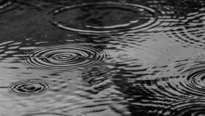 Yağmur sularında kimyasal maddelere rastlandı 