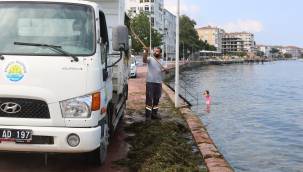 Yosun sokak'ta yosunlar temizleniyor