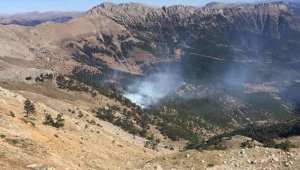 Adana'da çıkan orman yangınına müdahale ediliyor