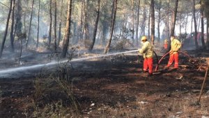Antalya'nın Kumluca ilçesinde orman yangını çıktı 