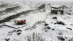 Ardahan ve Kars'ın yüksek kesimlerine mevsimin ilk karı düştü