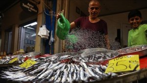 Av sezonunun açılmasıyla balıkçı tezgahlarında çeşit arttı, fiyat düştü