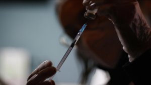 Avrupa'da maymun çiçeği vakalarının sayısı 24 bini geçti