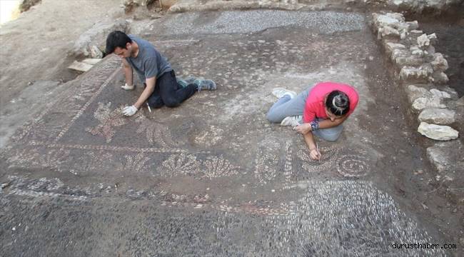 Balatlar Yapı Topluluğu'nda Helenistik Döneme ait yeni mozaiklere ulaşıldı