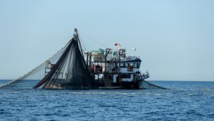 Balıkçıların palamut mesaisi sürüyor