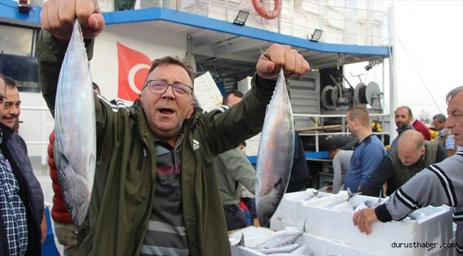 Bandırma Balık Hali'nde palamut bolluğu yaşanıyor