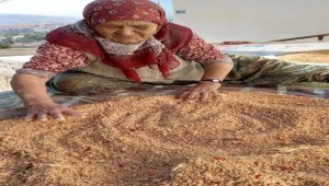 Beypazarı'nda kadınların kışlık yiyecek mesaisi sürüyor 