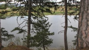 Beypazarı'ndaki Karagöl mesire alanına ziyaretçi ilgisi 