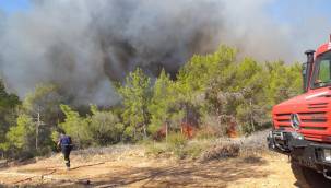 Büyükşehir İtfaiyesi’nden Mersin’deki orman yangını söndürme çalışmalarına destek
