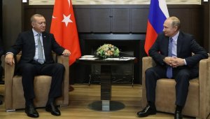Cumhurbaşkanı Erdoğan, Rusya Devlet Başkanı Putin ile telefonda görüştü