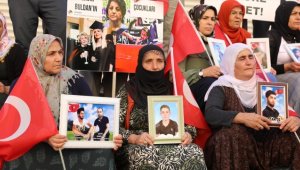 Diyarbakır annelerinin oturma eylemine iki aile daha katıldı