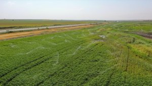 Diyarbakır'da 1,2 milyon dekar arazide modern sulama sistemi kullanılıyor