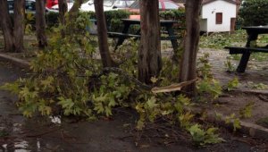 Doğu Anadolu'nun bazı kesimleri için kuvvetli rüzgar ve fırtına uyarısı