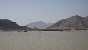 Dünya Bankasından Pakistan'a 2 milyar dolarlık yardım sözü