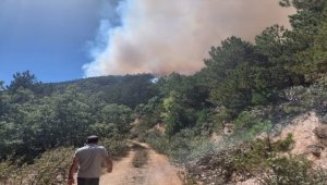 Eskişehir'de çıkan orman yangını söndürüldü