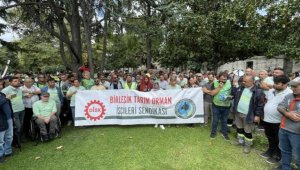 İBB Ağaç ve Peyzaj AŞ işçilerinden 'düşük maaş' protestosu